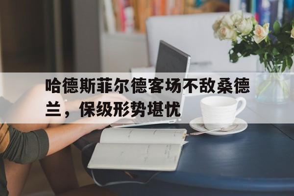 哈德斯菲尔德客场不敌桑德兰，保级形势堪忧的简单介绍
